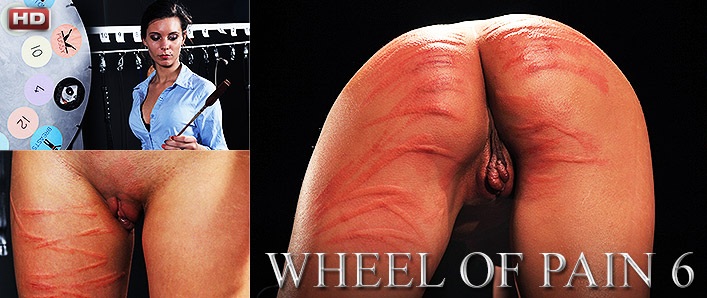 Wheel of Pain 6 / Колесо боли 6