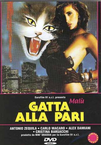 Gatta alla pari / Номинальный кот